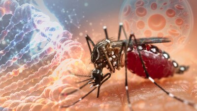 Mantiene alerta a la India por que hay casi 150 personas contagias y han habido más de 50 muertes