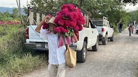 Cae precio de flores en Tixtla, Guerrero, por poca venta: “antes llegaban camiones”
