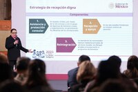 México: ¿Cómo será la estrategia de repatriación ante deportaciones masivas por Trump?