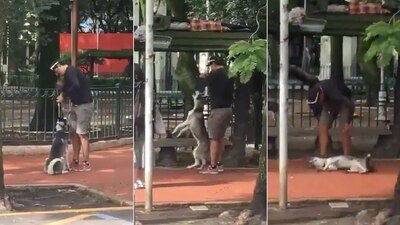 Un hombre fue sorprendido mientras ahorcaba a un perro