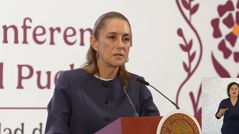 Avanzan convenios para instalar planta de moscas contra gusano barrenador: Sheinbaum