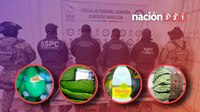 Agua mineral, sandías, nopales y pelucas, lugares raros donde se ha encontrado droga