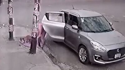 El perrito estaba bajo de peso cuando fue encontrado