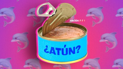 El estudio confirmó la presencia de carne de delfín en 3 de las 15 muestras estudiadas