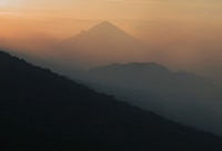 Mujer muere tras ataque de un puma mientras hacía senderismo