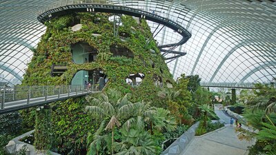 Singapur es una de las ciudades con más biodiversidad y conservación en el mudo