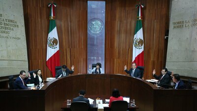El TEPJF conformará una comisión para investigar el fideicomiso de Morena