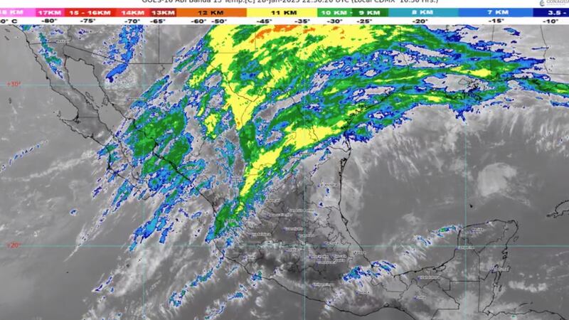 Vientos que arranquen árboles y derriben anuncios: El pronóstico del clima para el 29 de enero