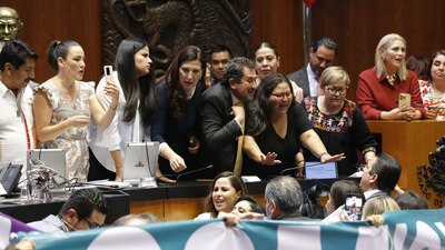 Senadores de oposición buscan que se elijan a los comisionados del INAI