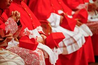 Cónclave para elegir al nuevo Papa comenzará el 7 de mayo de 2025