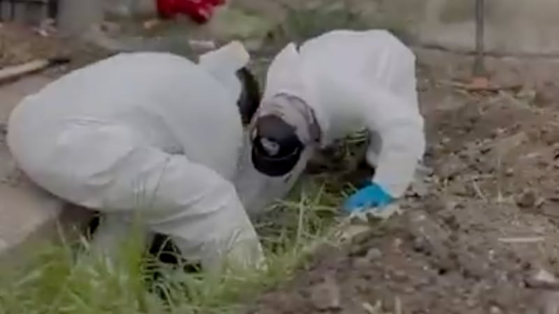 Encuentran restos óseos fragmentados de 32 personas en fosa clandestina de Irapuato