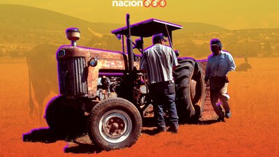 Organizaciones estiman que cerrarán el año con menos producción que en 2021