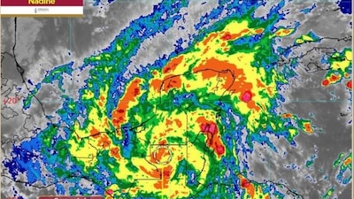 Se pronostican vientos fuertes a muy fuertes con oleaje elevado