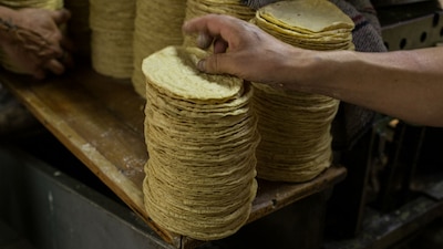 Las tortillas son consumidas por la mayoría de los mexicanos y un aumento en su precio le afectaría a millones de personas