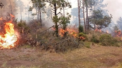 El incendio ha durado hasta tres días