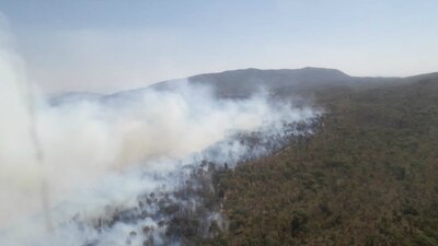 Este bosque es uno de los más importantes de Jalisco