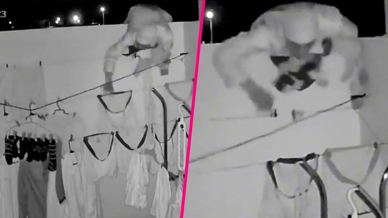 VIDEO: Delincuente deja ‘sin calzones’ a familia tras robar su ropa del tendedero