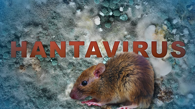 España registra nuevo caso de hantavirus ; suman 11 infectados incluidos 3 muertos