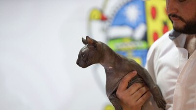 La entrega del felino será el próximo 1 de marzo en una ceremonia especial