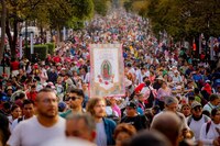 Guadalupanismo en declive
