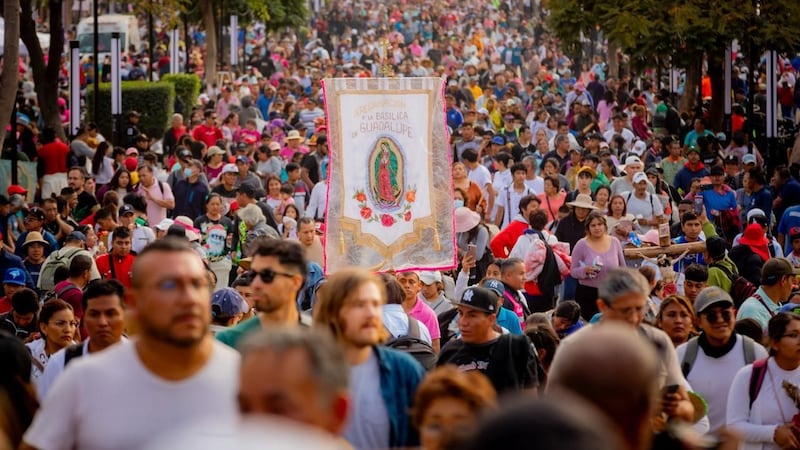 Guadalupanismo en declive