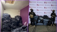 Policías aseguran alrededor de 500 kilos de mariguana durante cateo en la GAM