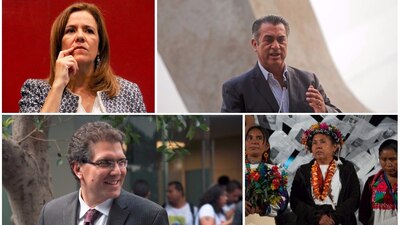 Los aspirantes independientes tienen hasta febrero para juntar todas las firmas de apoyo y estar en la boleta electoral