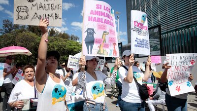 En Puebla, la protesta pacífica partió de la Fiscalía del estado hacia el zócalo de la capital poblana.
