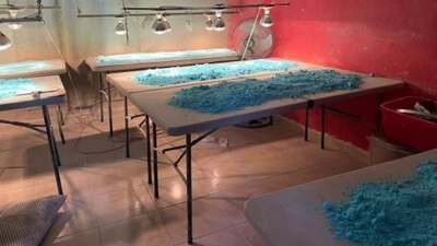 EU señaló que algunos fármacos cuentan con pequeñas dosis de fentanilo