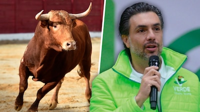 También buscan acabar con las peleas de gallos