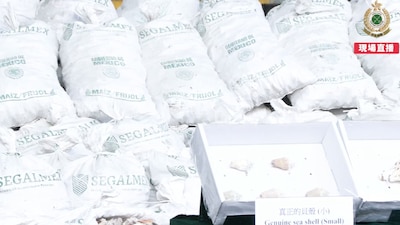 Segalmex dijo que denunciará a quienes resulten responsables de mal uso de su nombre