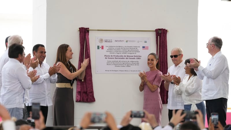 Sheinbaum inaugura Planta de Producción de Moscas Estériles del Gusano Barrenador, en Chiapas