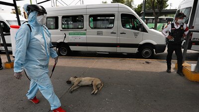 En 24 horas se registraron 253 casos más del nuevo coronavirus