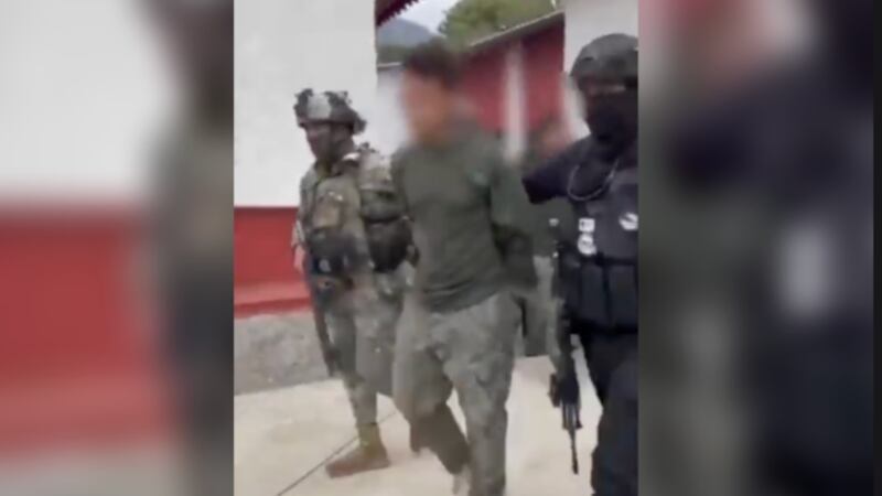 Fuerzas Armadas abaten a 12 integrantes del CJNG durante operativo en Michoacán; hay 9 detenidos