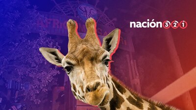 La jirafa que causó conmoción en todos los mexicanos podrá recibirlos en Puebla