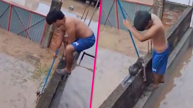 Niño arriesga la vida para salvar a un gatito que se ahogaba por las inundaciones en Poza Rica