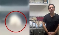 Esto sabemos de ‘Rocky’, el perrito en estado crítico tras ser arrastrado por sus cuidadores