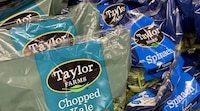“Pruebas dieron negativo”: Cofepris descarta presencia de cyclospora en lechugas de Taylor Farms