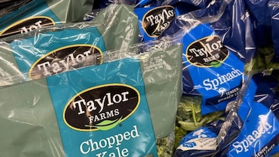 Cofepris descarta presencia del parásito en lechugas de Taylor Farms; pruebas dieron negativo