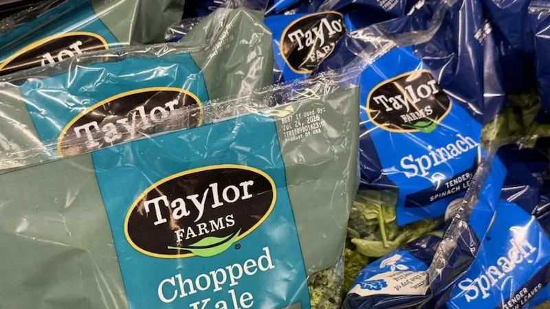 “Pruebas dieron negativo”: Cofepris descarta presencia de cyclospora en lechugas de Taylor Farms