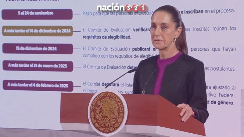 En primera etapa, Ejecutivo ‘palomea’ a 8 mil aspirantes a elección judicial