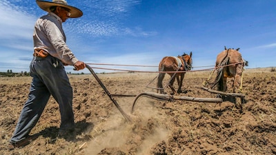El gobierno federal otorga apoyos económicos  campesinos que desean producir sus tierras