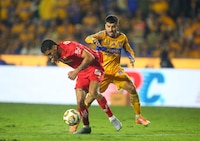 Toluca vs Tigres: ¿quién es el favorito para ser campeón de la Liga MX?, esto dice la IA
