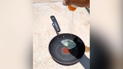 Luego de unos minutos de exposición al sol, los huevos sí logran cocerse