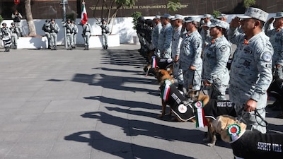 Los perritos trabajaron junto a la Guardia Nacional por siete años o más