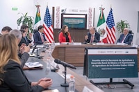 México y EU analizan reabrir las exportaciones de ganado bovino, en pausa por el gusano barrenador