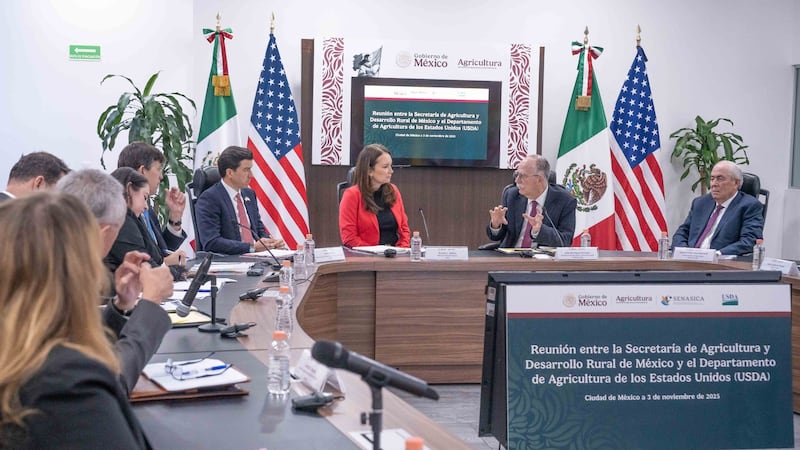 México y EU analizan reabrir las exportaciones de ganado bovino, en pausa por el gusano barrenador