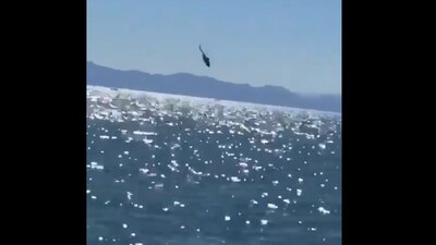 La Marina confirmó que se estableció el Sistema Regional de Búsqueda y Rescate para localizar a uno de sus elementos