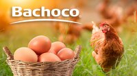 Grupo Bachoco incorpora el sello “Hecho en México” en todas sus líneas de productos
