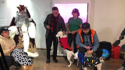 Tras mandar su carta, los pequeñitos recibirán un correo de confirmación